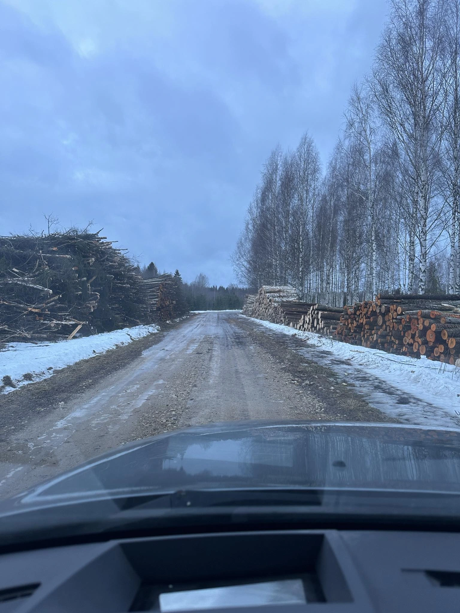 Väljaveetud-materjal_metsandus